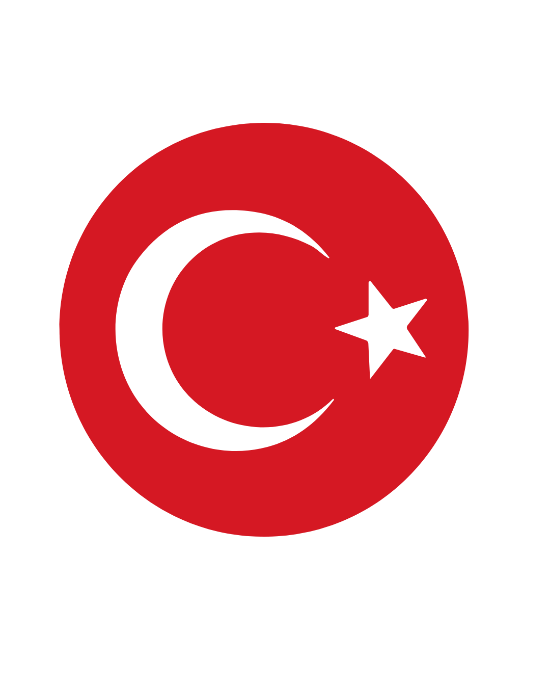 Turkey flag